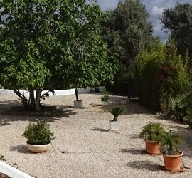Algarve Ferienwohnung mit Pool