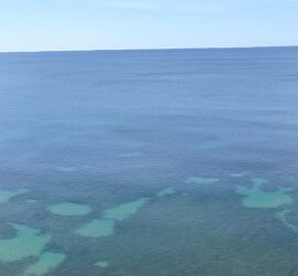 Location Appartement piscine Carvoeiro