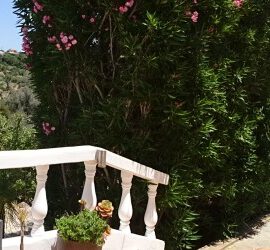 Villa Vermietung Carvoeiro