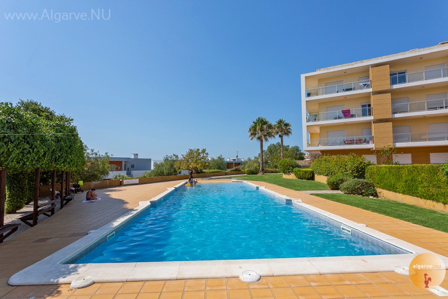 Grande piscine en pente douce éclairée le soir. Bassin pour enfants dans le grand jardin.