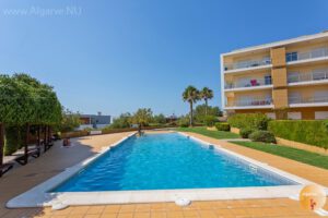Groot en langzaam aflopend zwembad dat in de avonden verlicht is. Kinderbad in de grote tuin.