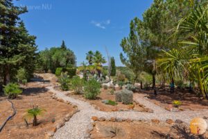 Très grand jardin magnifiquement aménagé avec des palmiers