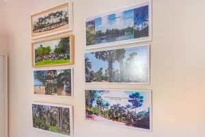 Une collection de photos encadrées accrochées au mur, illustrant des paysages tropicaux et des photos de groupe.