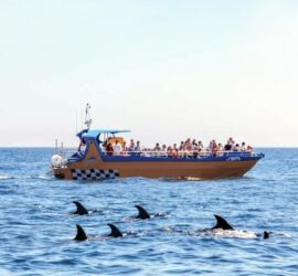 Dolfijnen Spotten Algarve