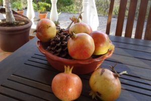 Granaatappels Algarve