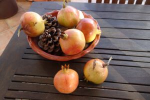 Granaatappels Algarve