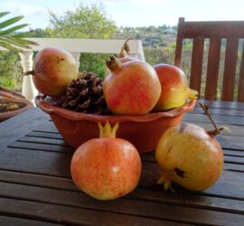 Granaatappels Algarve