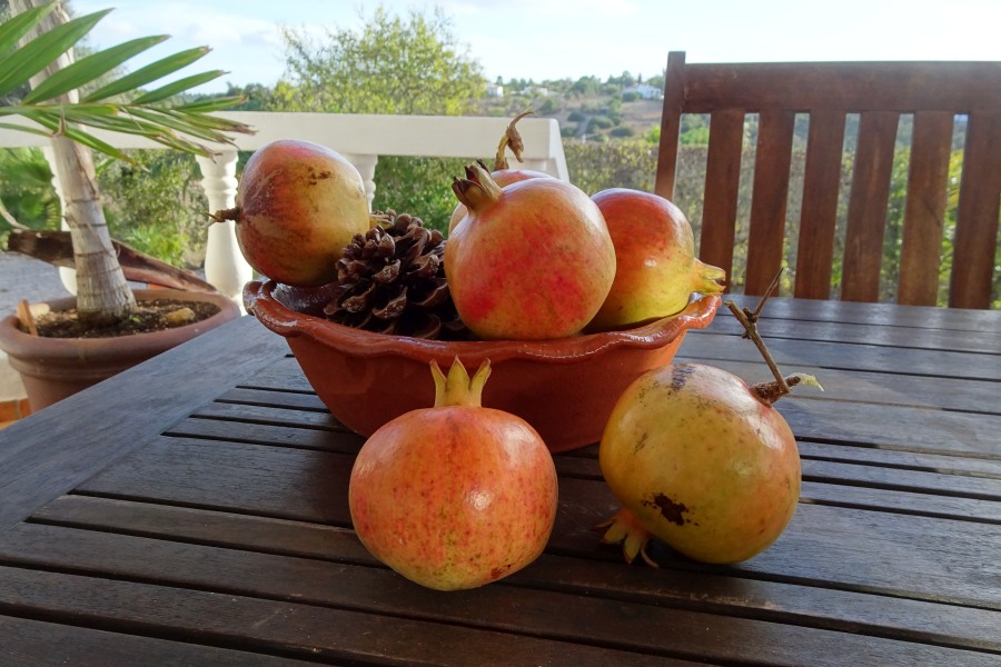 Granaatappels Algarve