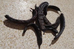 Johannesbroodboom Algarve