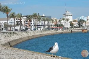 The centre of Portimao.