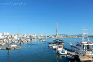 Many options for a boat trip.