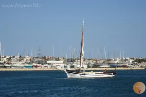 Der Arade Fluss ist immer in Bewegung.